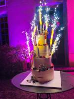 Notre zone d'activité pour ce service Réserver un traiteur pour animation culinaire avec plancha pour une fête d'anniversaire en extérieur à Dardilly dans les Monts d'Or près de Caluire-et-Cuire 69300 dans le Rhône